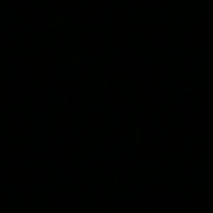 Meet your Posher, Jehni